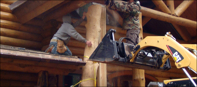 Log Home Log Replacement  Martinsville, Ohio